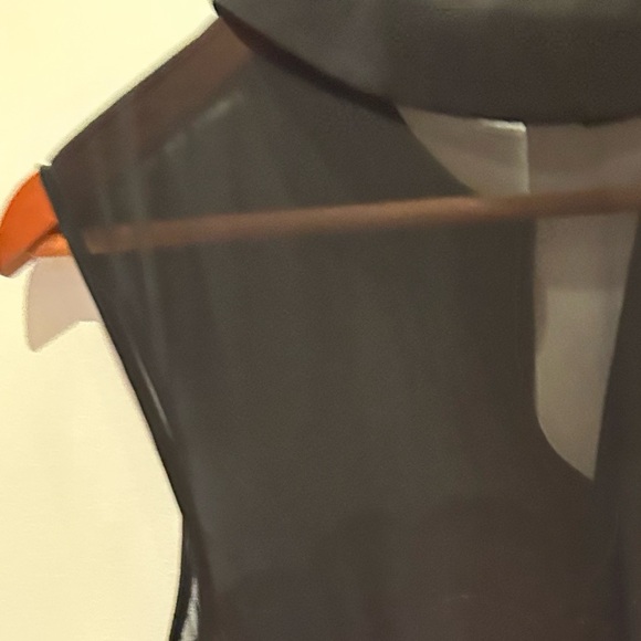 Ted Baker Bustier Black Lace Dress with Sheer Collar - Picture 7 of 8